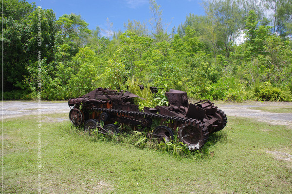 ペリリュー島の戦車